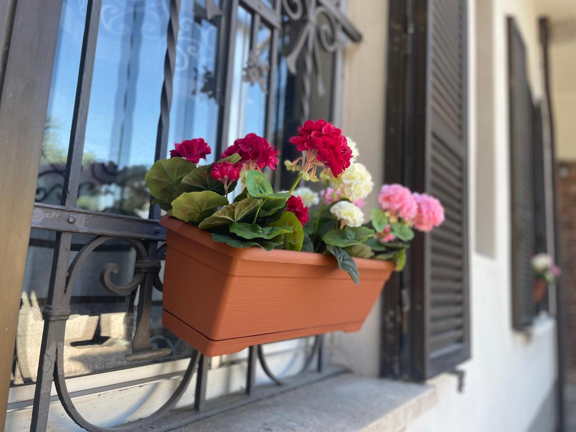 Villa Simona Malpensa Gallarate Esterno foto